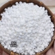 Sáp Wax Dừa Trắng Premier 5
